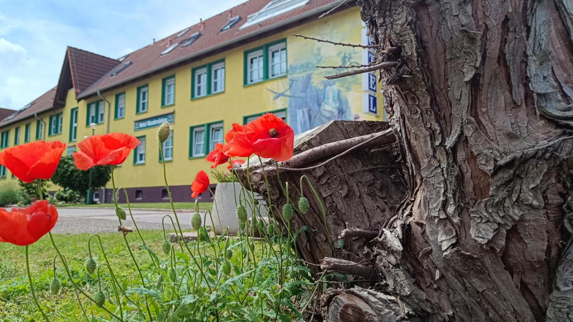 Hotel Wandersleben - Erfurt Exterior photo