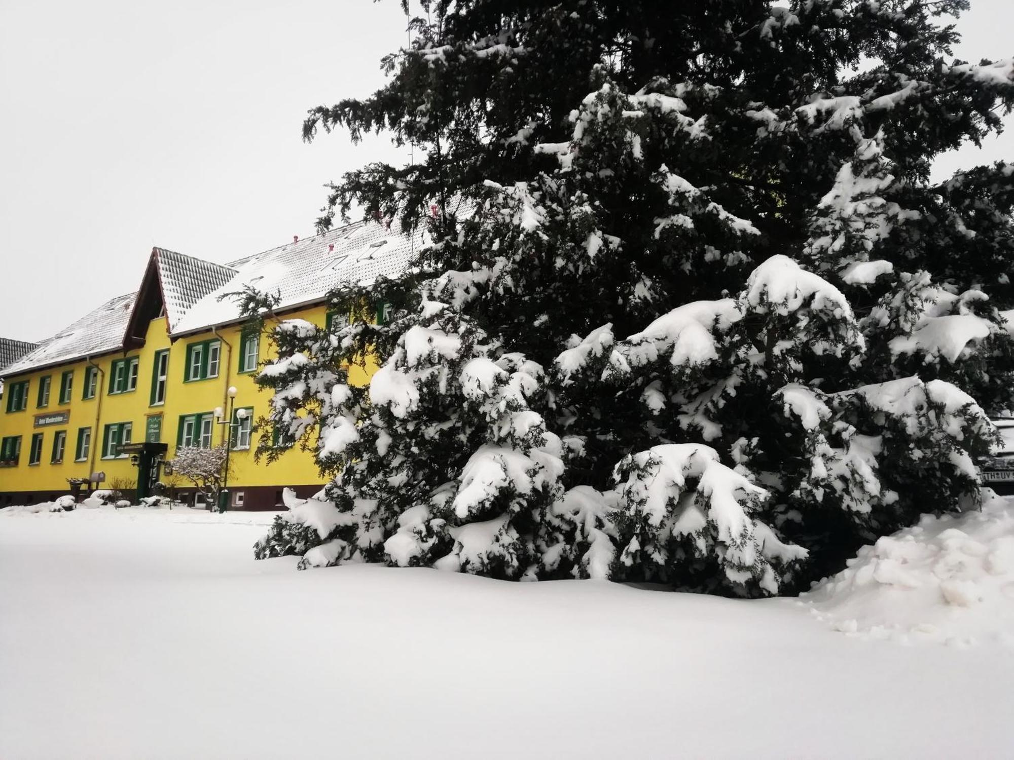 Hotel Wandersleben - Erfurt Exterior photo